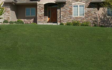 Lawn Aeration