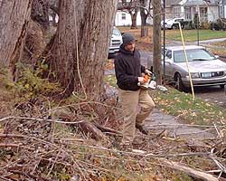 Tree Pruning